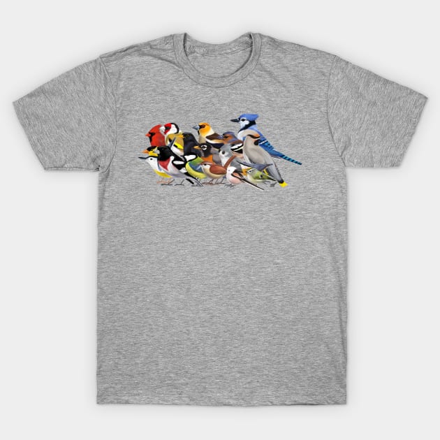 Year of the Bird - Birds of North America and Europe T-Shirt by kataszep